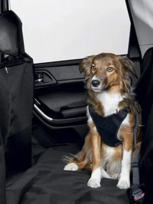 Car Seat Cover