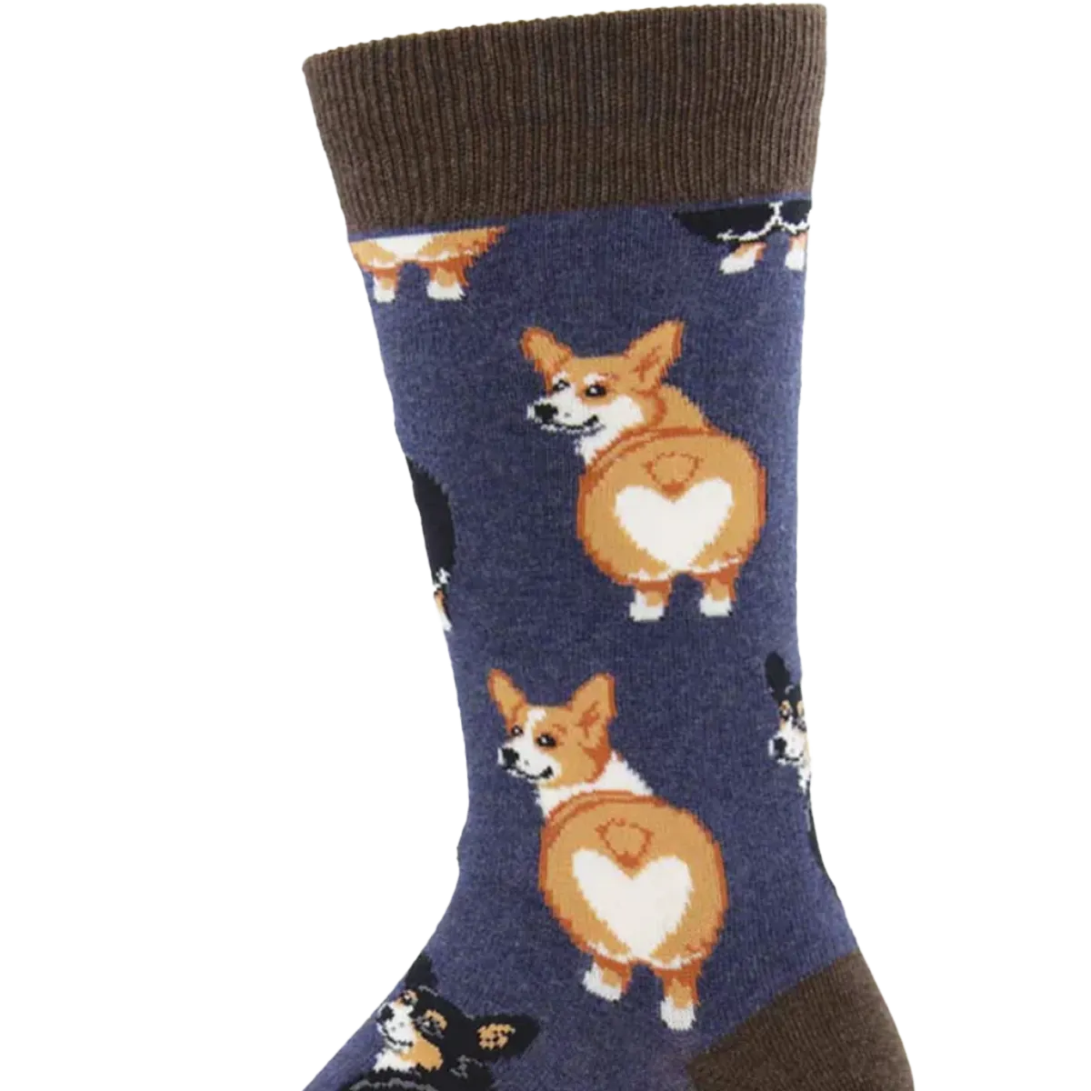 Corgi Butt
