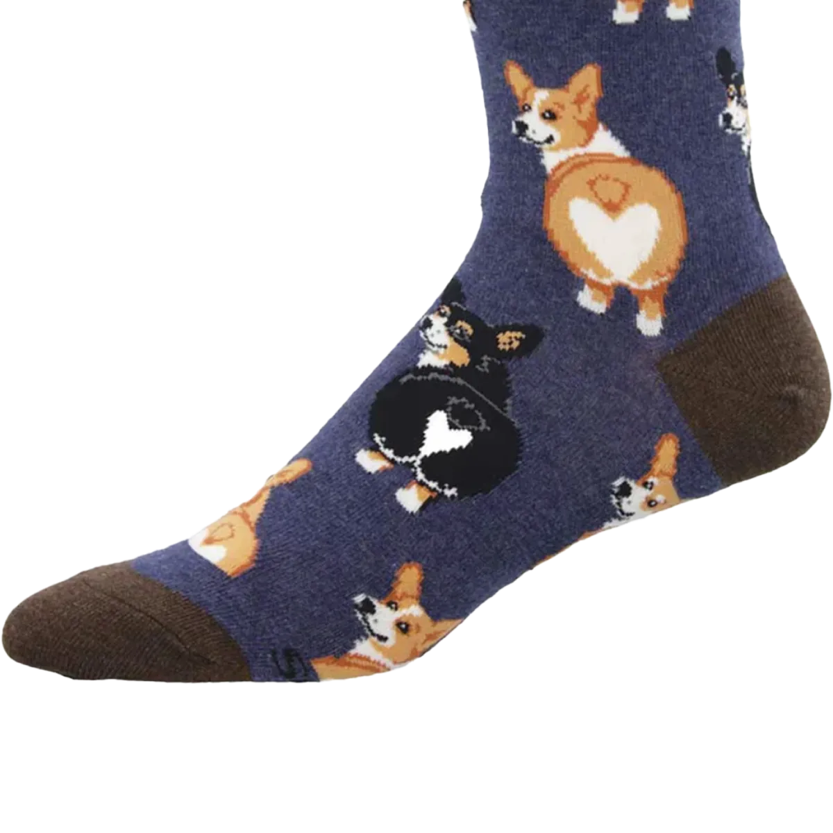 Corgi Butt