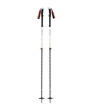 Expedition 2 Ski Poles