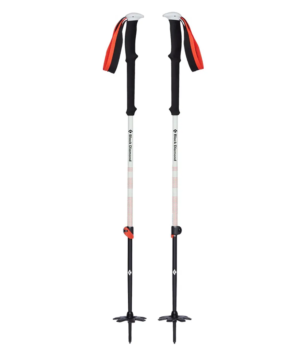 Expedition 2 Ski Poles