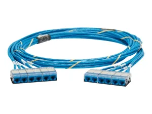 Panduit QuickNet - Network cable - RJ-45 (F) cassette to RJ-45 (F) cassette - 10 ft - UTP - CAT 6a - IEEE 802.3an - plenum - QCRBCCB0001F030