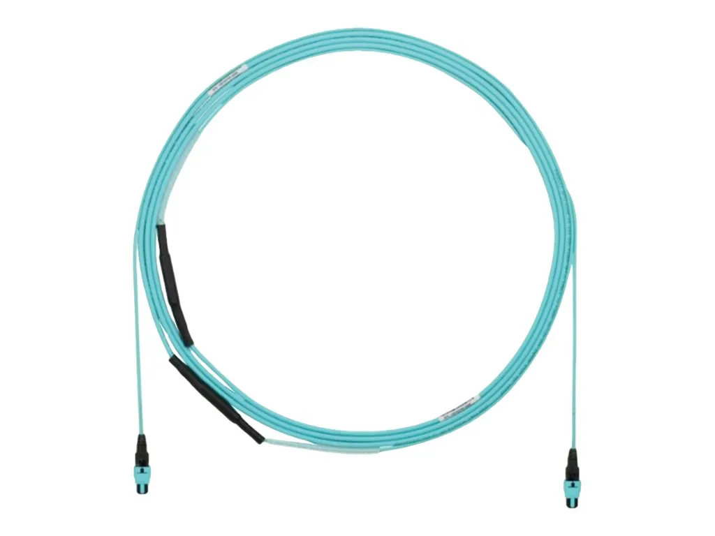 Panduit QuickNet - Trunk cable - PanMPO multi-mode (F) to PanMPO multi-mode (F) - 10 m - 0.2 in - fiber optic - 50 / 125 micron FYZTP77Y006M010