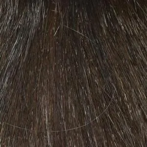 Shari (Large) Wig by Envy | Synthetic (Traditional Cap)