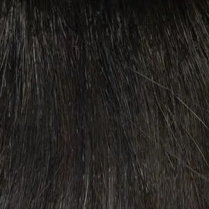 Shari (Large) Wig by Envy | Synthetic (Traditional Cap)