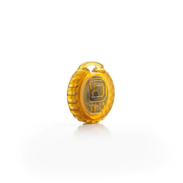 ULTEM® Compass